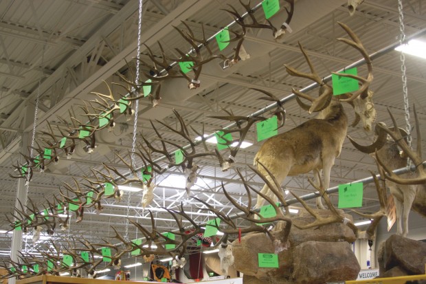 Bucks and Bulls contest sees more quality racks