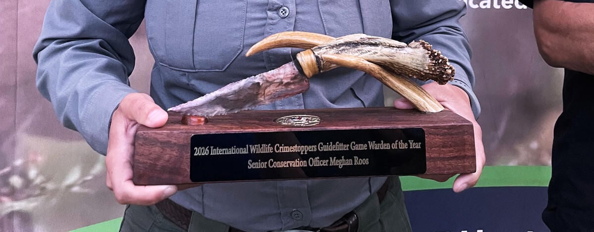 Senior Conservation Officer, Meghan Roos awarded International Wildlife Crimestoppers Guidefitter Game Warden of the Year