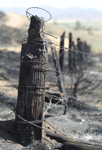 Beaver Creek Complex Fire