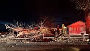Tree falls, injuring 2 children as high winds sweep through Magic Valley