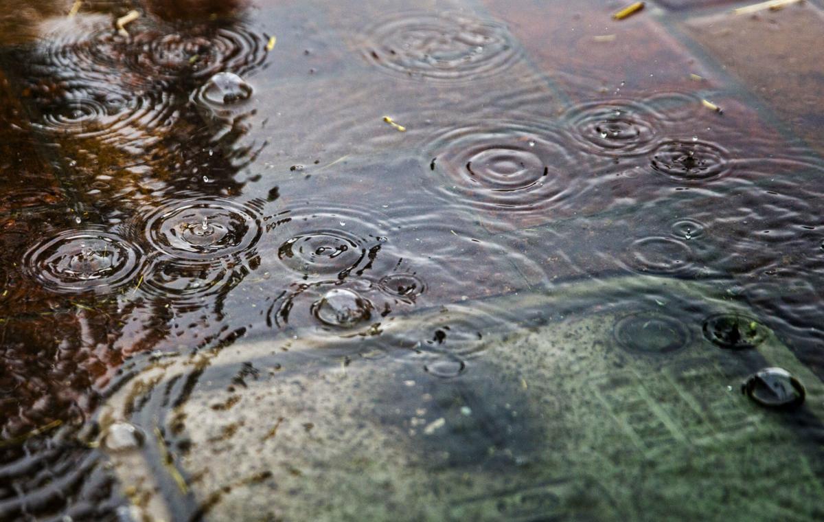 Mother Nature Brings Relief After Bone Dry Summer Local