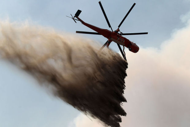Elk Fire