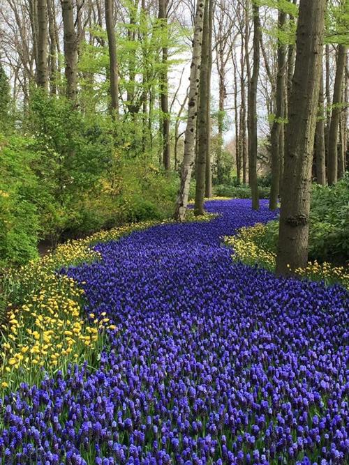 Lisse, Netherlands