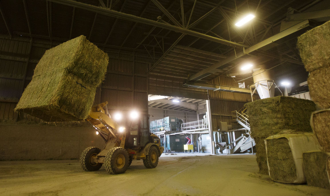 Standlee Hay Co. ranks highest to Top 100 list Business