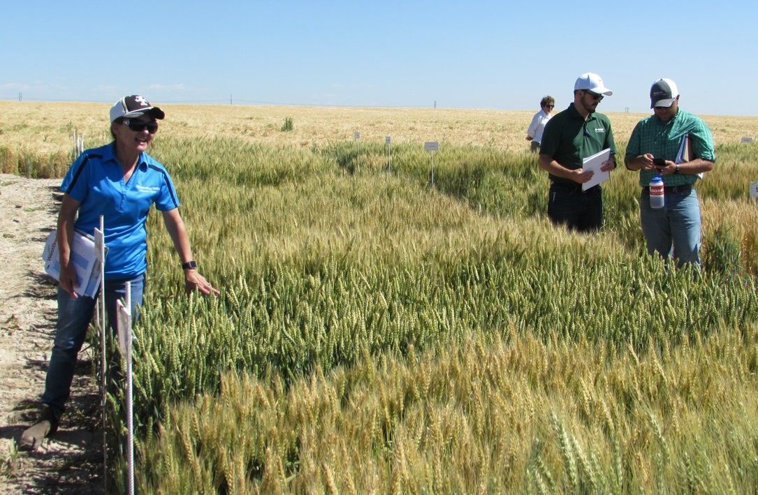 Online Class Seeks to Build Southern Idaho Farm and Ranch Women’s ...