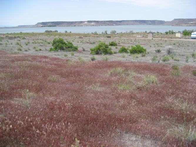 Free Hikes to Explore Top Raptor Nesting Area