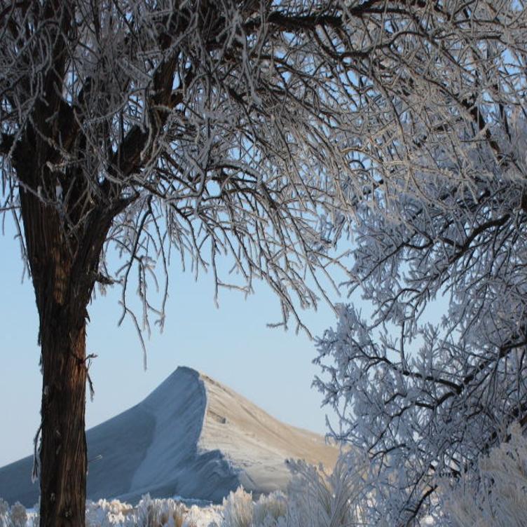 5 Reasons To Visit Bruneau Dunes State Park In Winter Outdoors And Recreation Magicvalley Com
