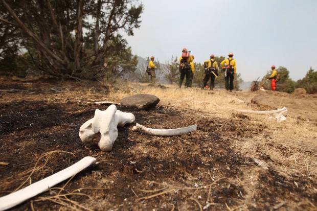 Cave Canyon Fire