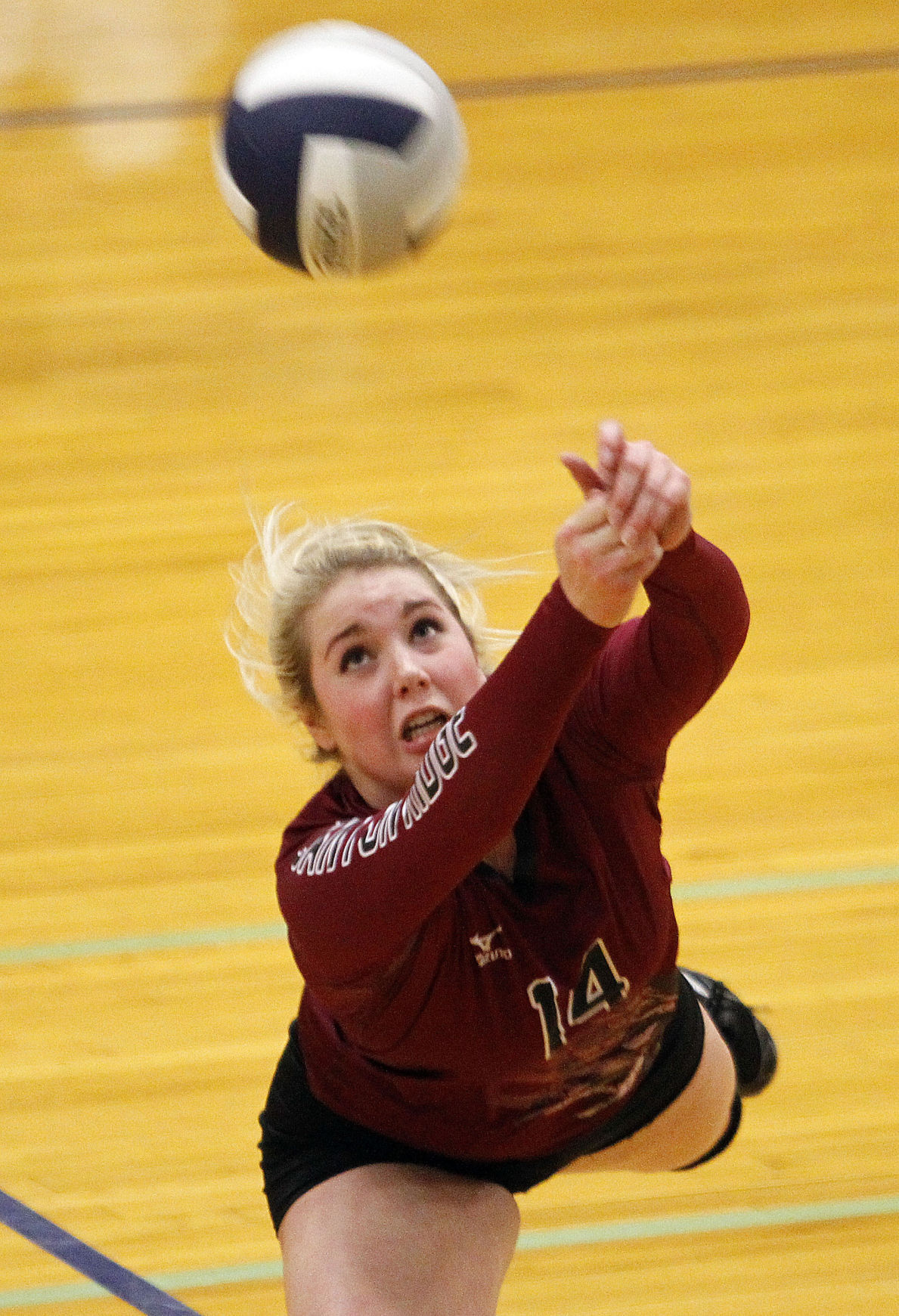 District IV All-Star Volleyball 2015