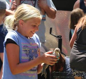 What's up this week in the Magic Valley?