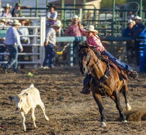 Fair season returns to the Magic Valley: See what events are happening near you
