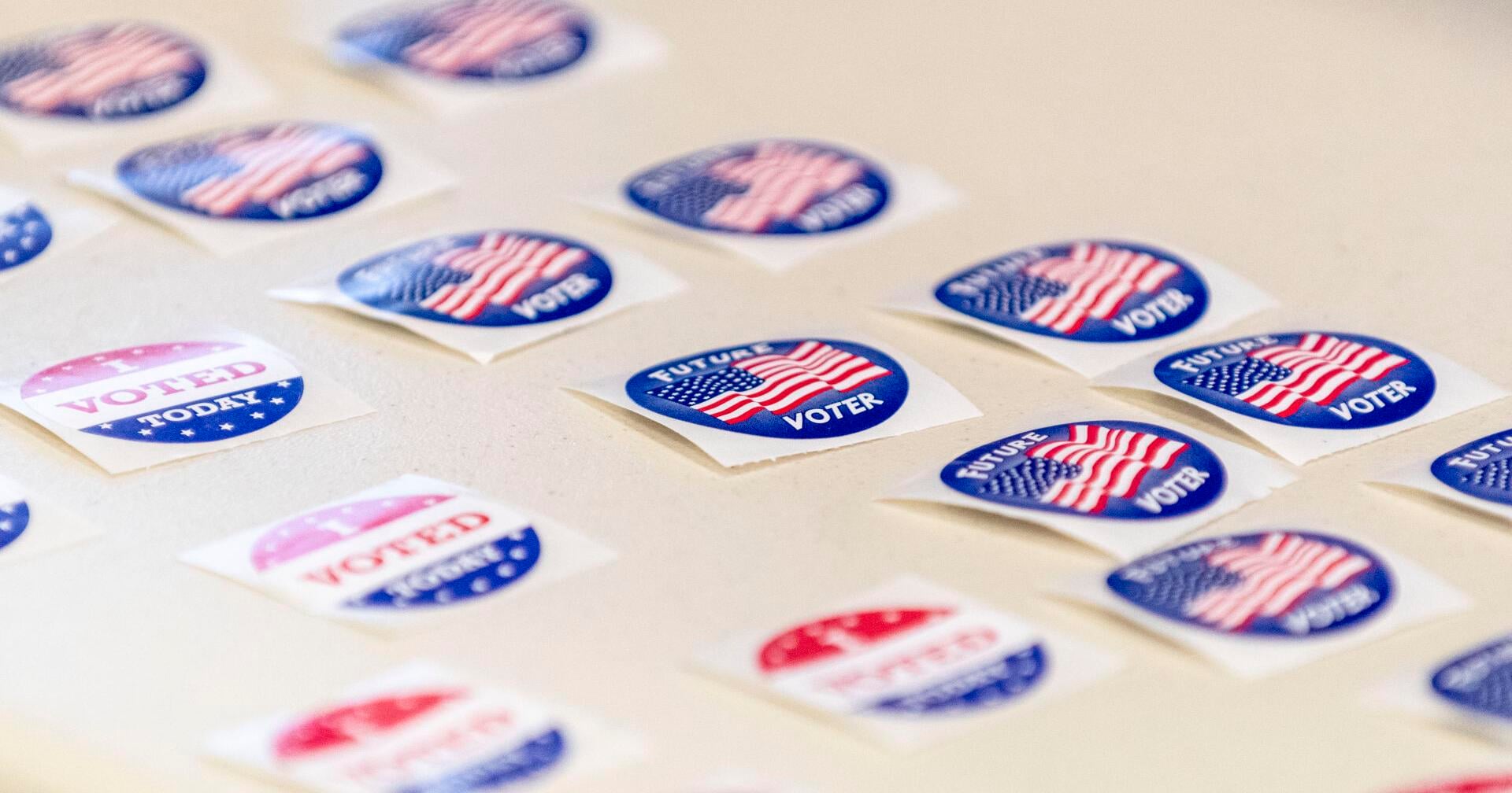 Idaho May 21 Primary Elections - Vimarsana News