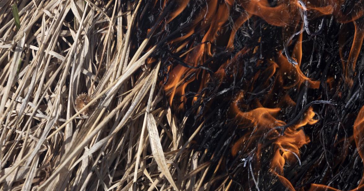 PHOTOS: Ditch riders prepare waterways