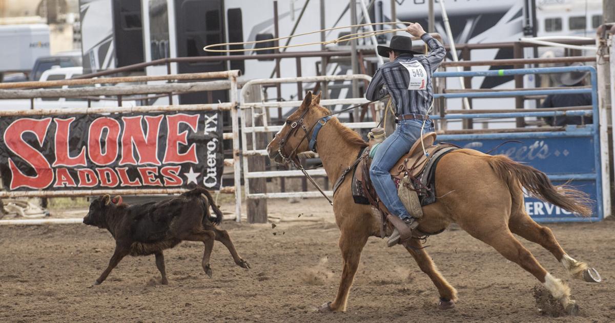 Mike Zebarth Rodeo Kimberly's Brackett wins state title in girls cutting; Zebarth takes ...