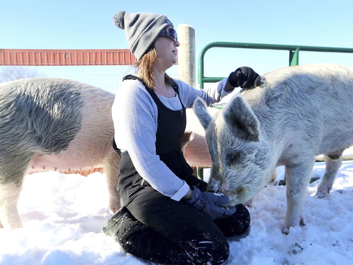 Wisconsin farm sanctuary rescues variety of animals Southern Idaho