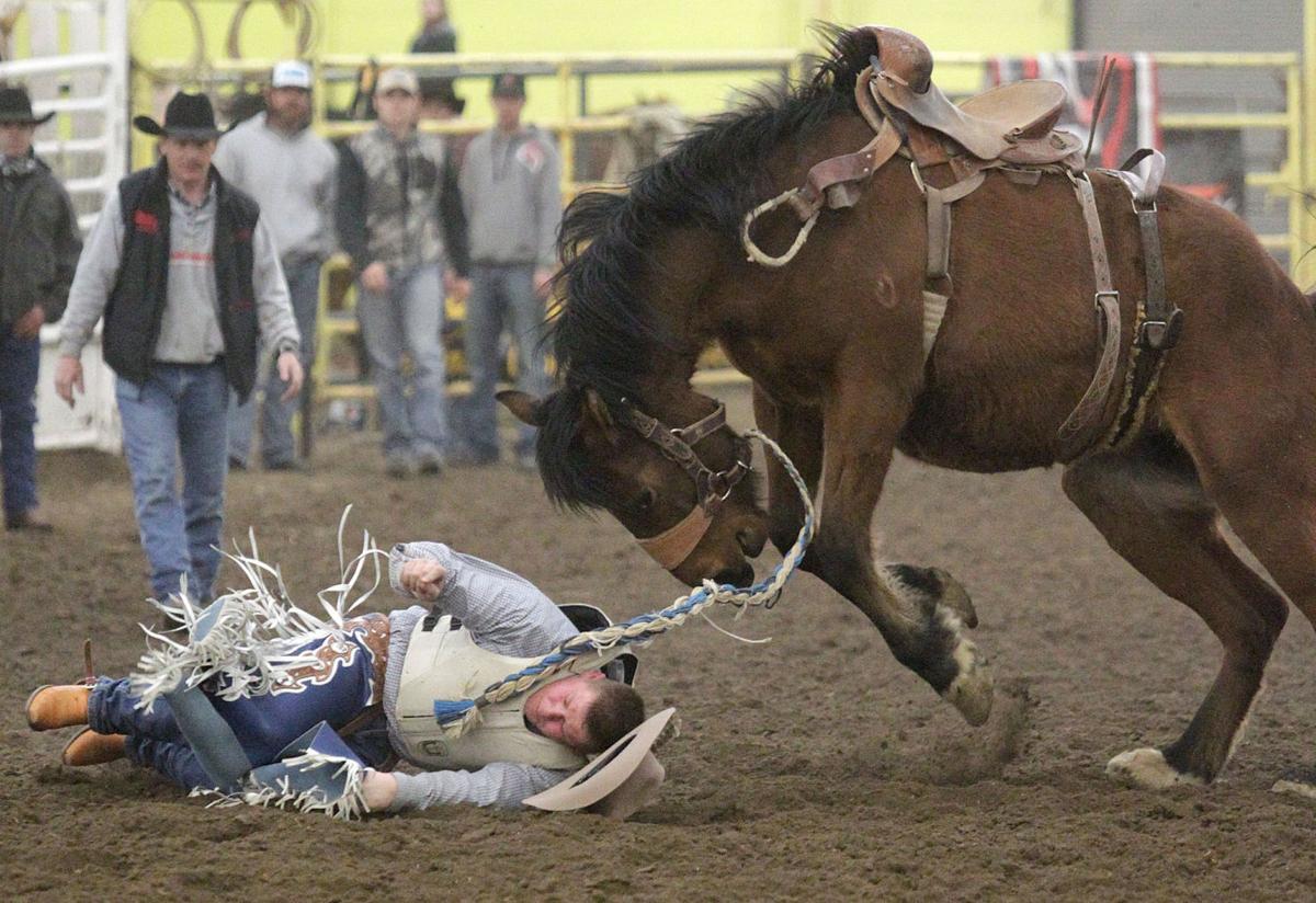 CSI Rodeo School