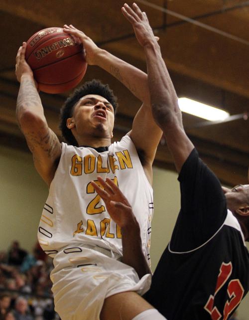 Mens Basketball Cncc Vs Csi Uploaded Photos Magicvalley Com