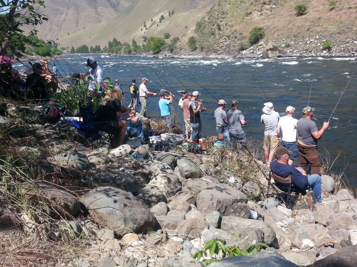 Salmon fishing