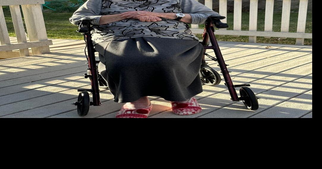 MiniCassia news briefs