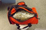 Traffic stop leads to duffle bag full of pot