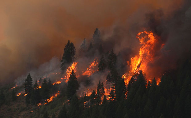 Elk Fire
