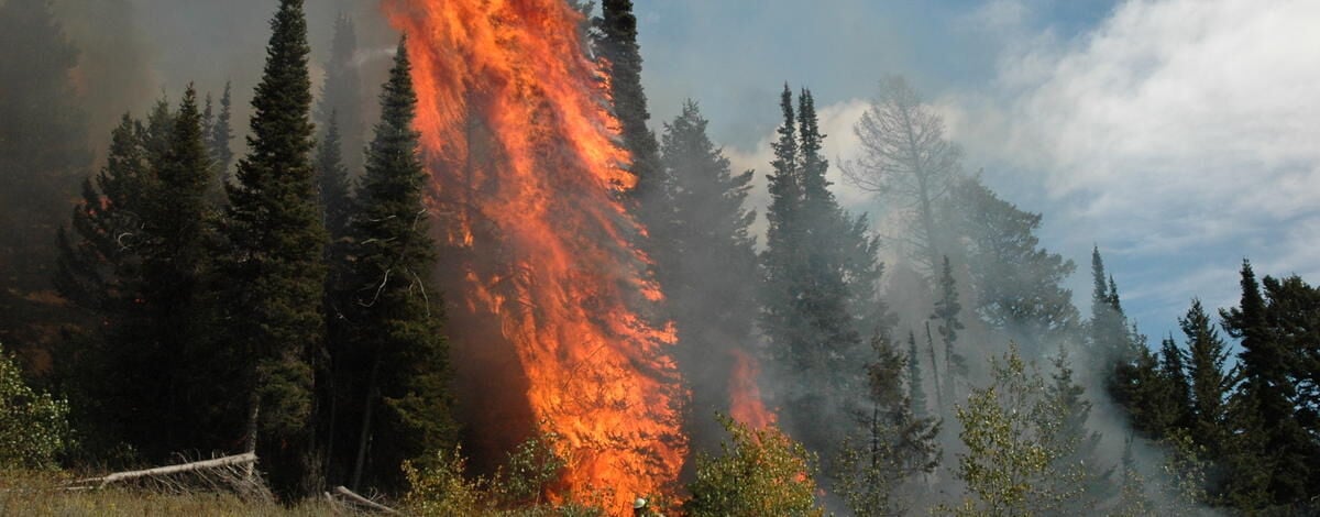 Hunters should be aware of upcoming prescribed fire in areas of Sawtooth National Forest in October