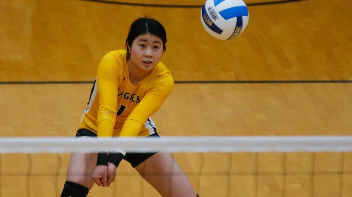 CSI Volleyball