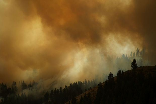 Elk Fire
