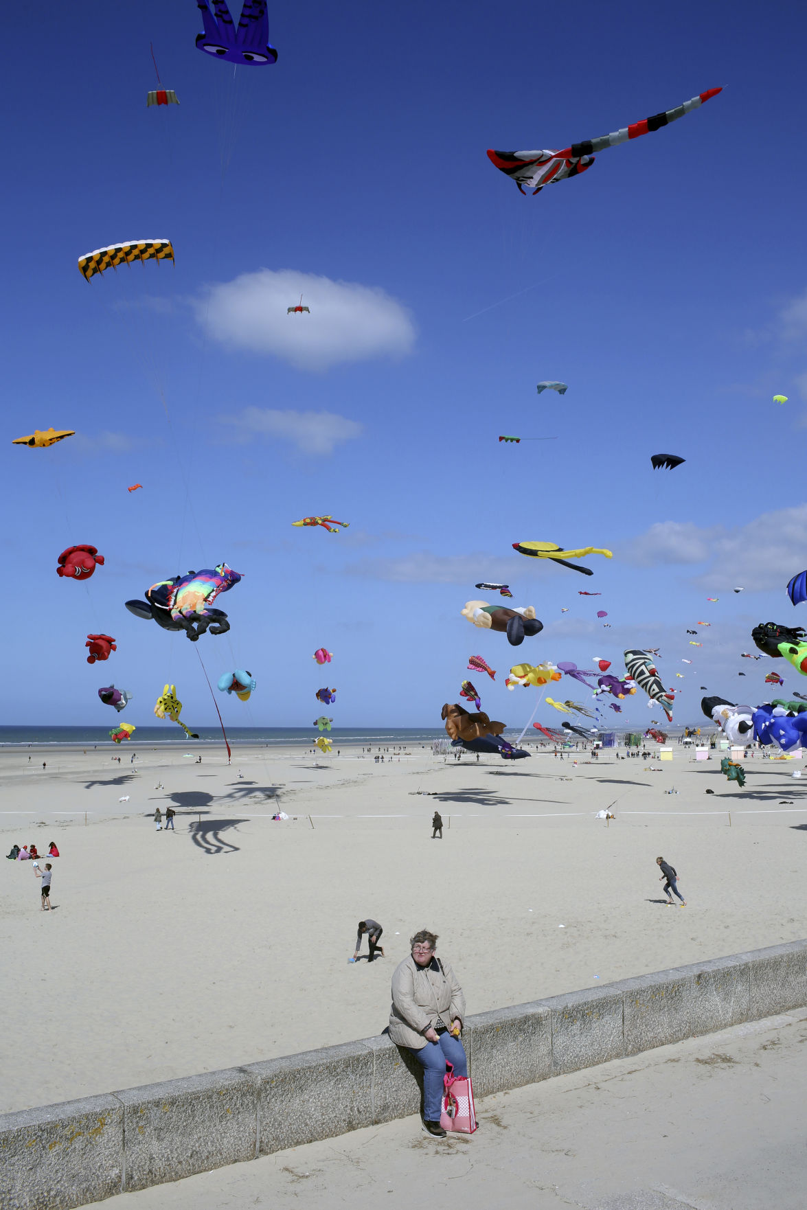 kite 2014 french