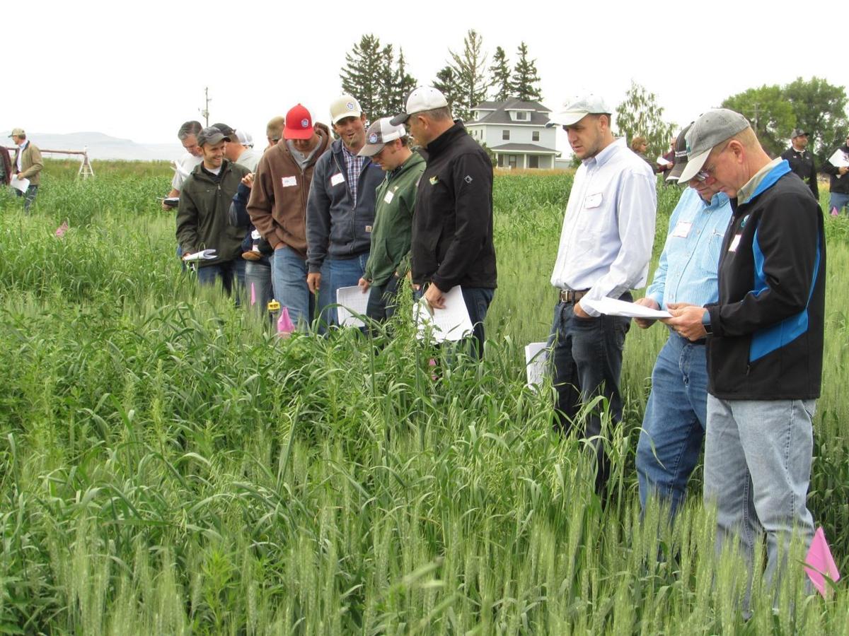 Beans Keynote Pest Management Tour | Southern Idaho ...