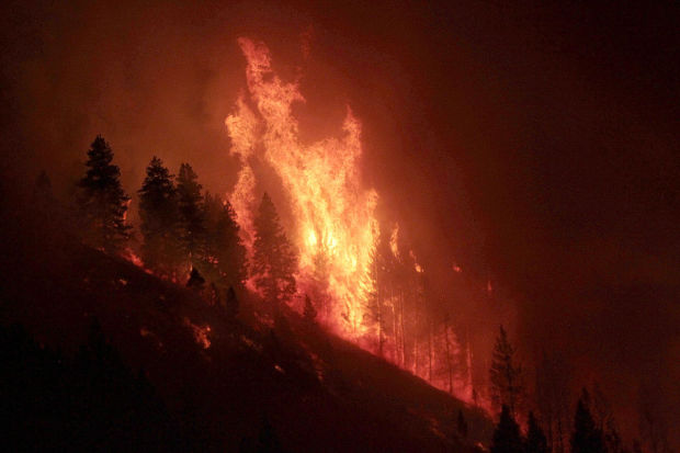 Elk Fire Complex