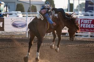 What's up this week in the Magic Valley?