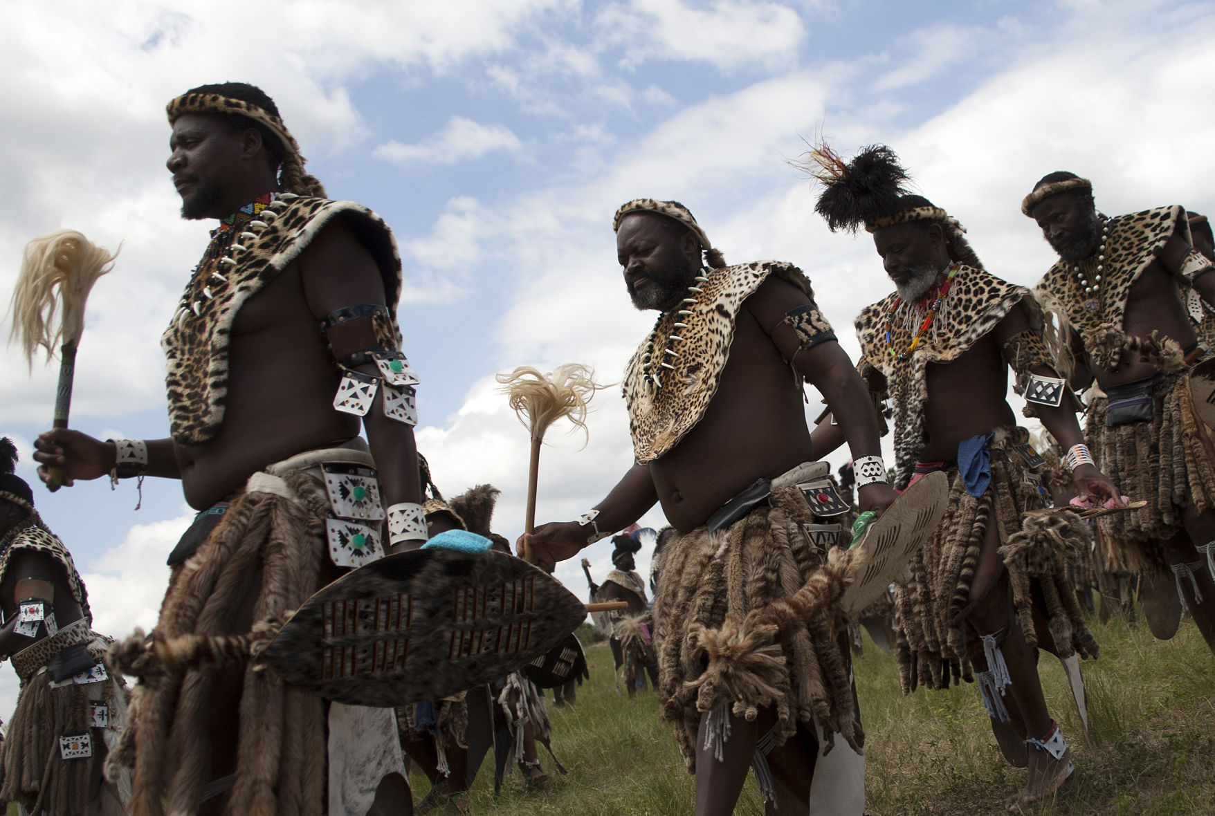 Zulus are starting to wear them in their ceremonial rituals in RSA. 