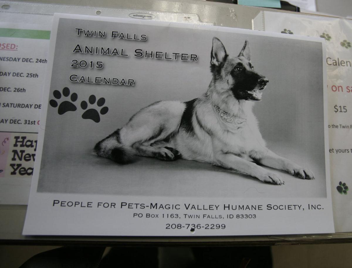 Twin Falls Animal Shelter Showcases Pet Ownership, Raises Money With