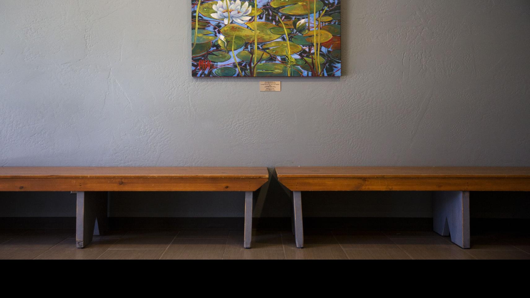 Boys Girls Club Dedicates Painting In Memory Of Twin Falls