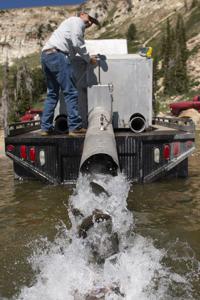 A fine day for fish stocking