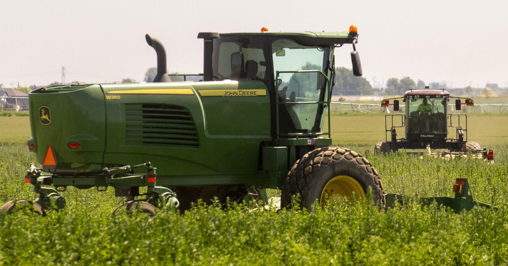 Crops appear to be catching up, but yields could be in question - Vimarsana News