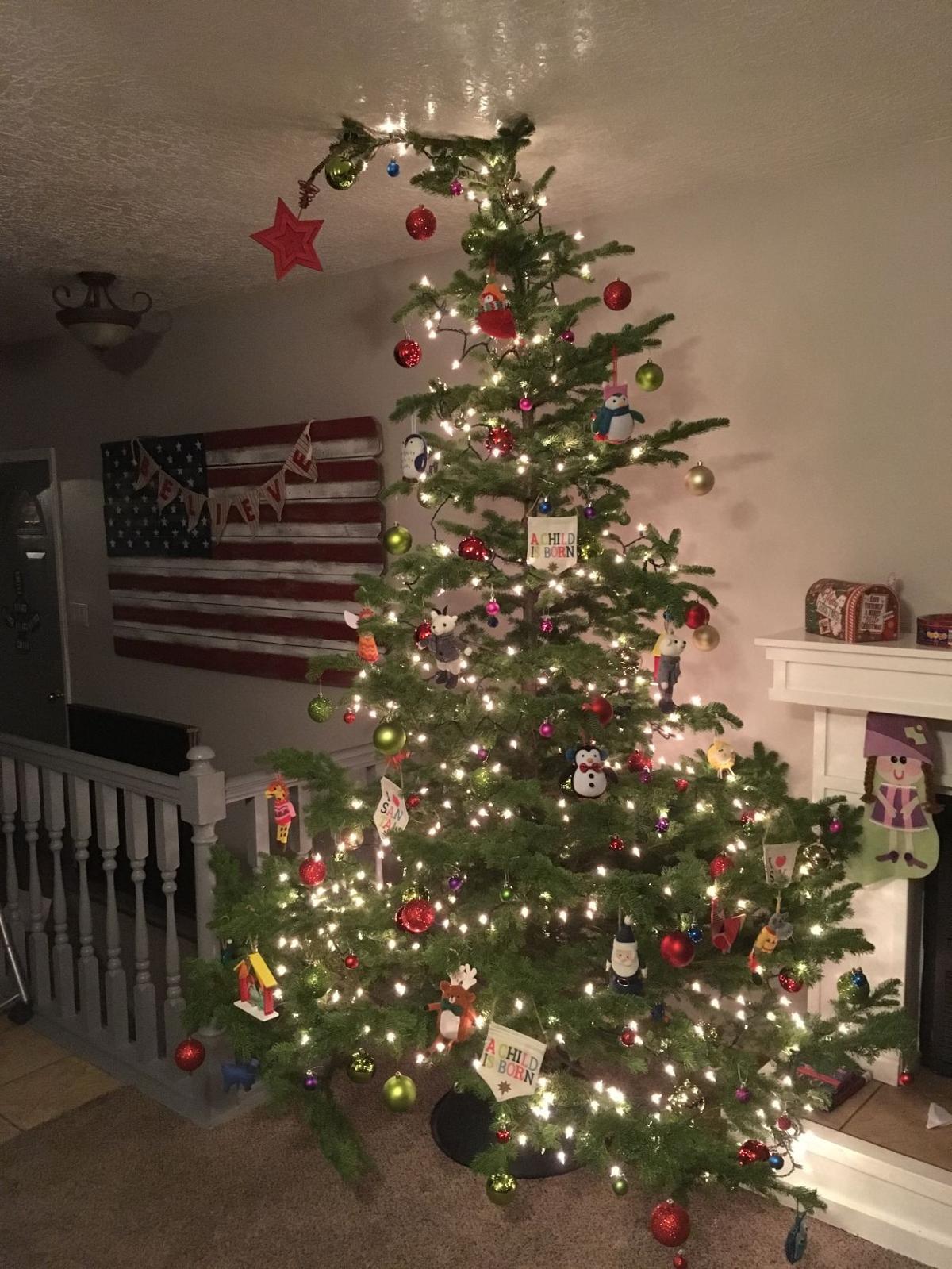 photos let s see your christmas trees southern idaho mole valley christmas tree collection