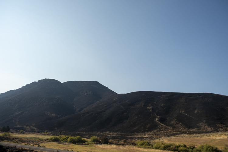 Rock Creek Canyon burn areas