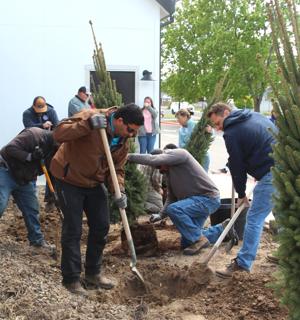 Twin Falls celebrates Arbor Day, revitalized swimming pool