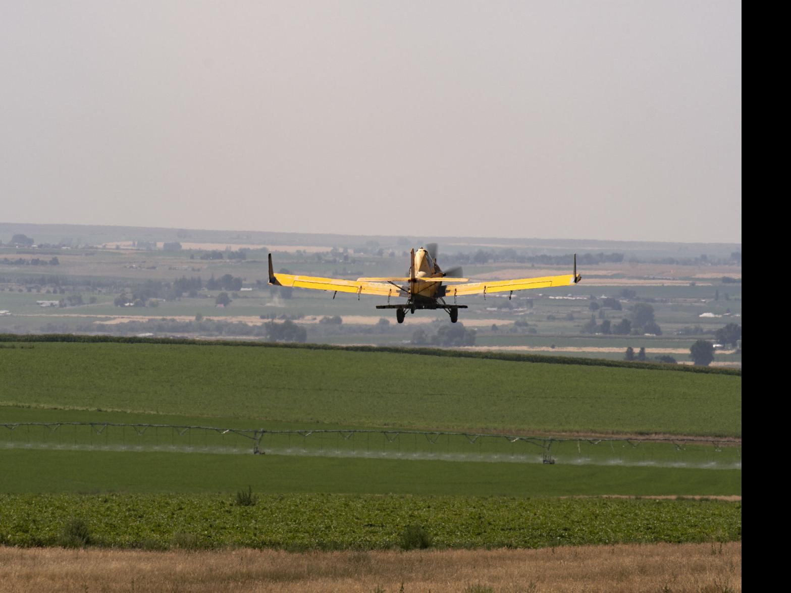 Flying With Savvy Technology Takes Crop Dusting To A New Level Magicvalley Com We provide you with the latest news in aviation, travel tips, reviews, flight deals and all the latest in airline updates from boeing and airbus. technology takes crop dusting to a new