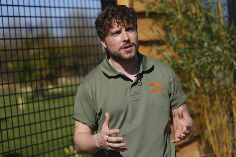 Britain Ukraine Rescued Lions