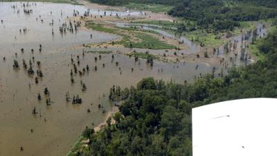 Millwood Lake Millet Drop May Improve Fish And Fowl Habitat Outdoors Magnoliareporter Com