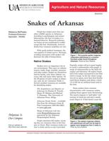This story is about Arkansas' venomous snakes. It contains warnings about snakes. Go no further if you are frightened by snakes.