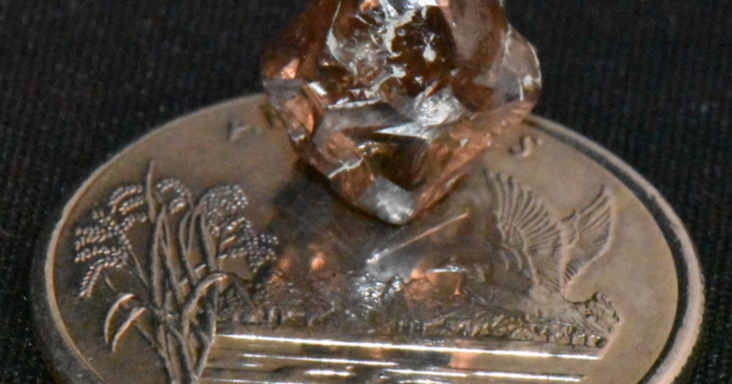Visitor from France finds 7.46-carat diamond at Crater of Diamonds State Park - Vimarsana News