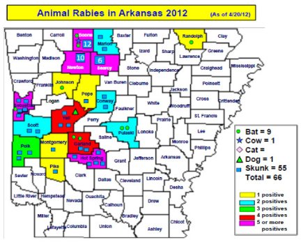 It's maddening -- Arkansas rabies cases on the increase | Regional News ...