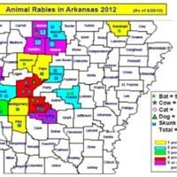 It's maddening -- Arkansas rabies cases on the increase | Regional News ...