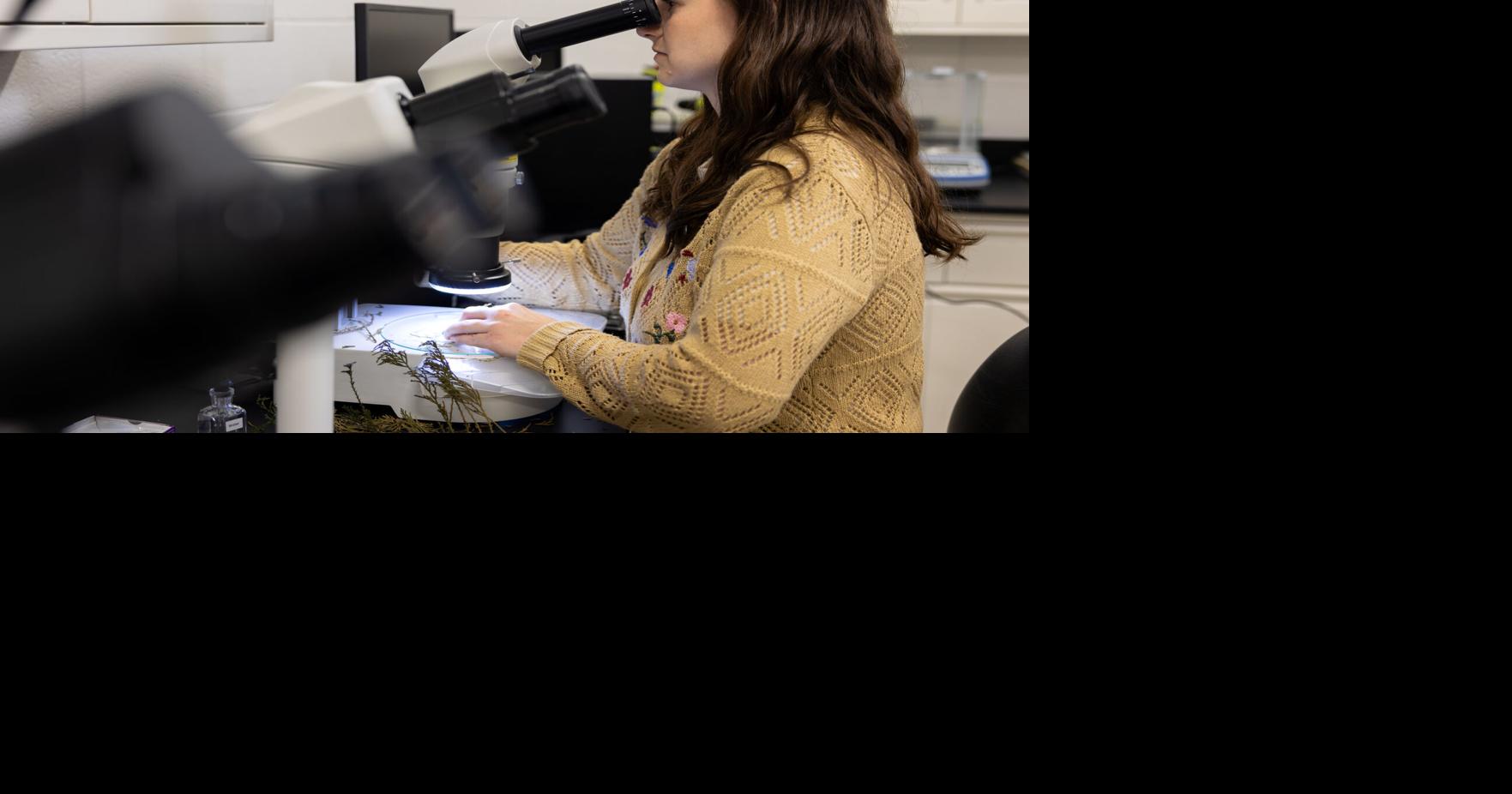 Arkansas Plant Health Clinic: Severe flooding in 2025 shaped plant disease trends