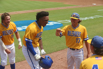 Rollins College baseball opens D-II tourney with win.