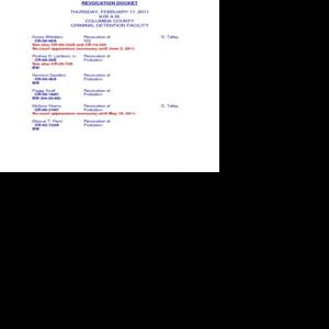 Columbia County Circuit Court Revocation Docket for February 17